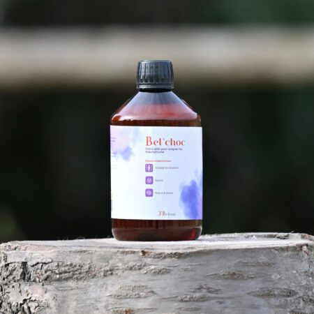 Bel'choc (500ml)