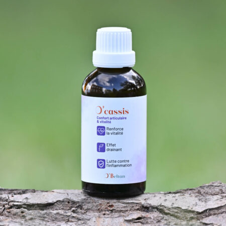 O’cassis (40ml)