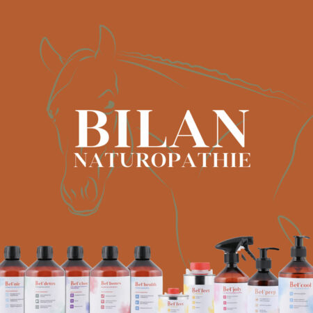 Bilan Naturopathie