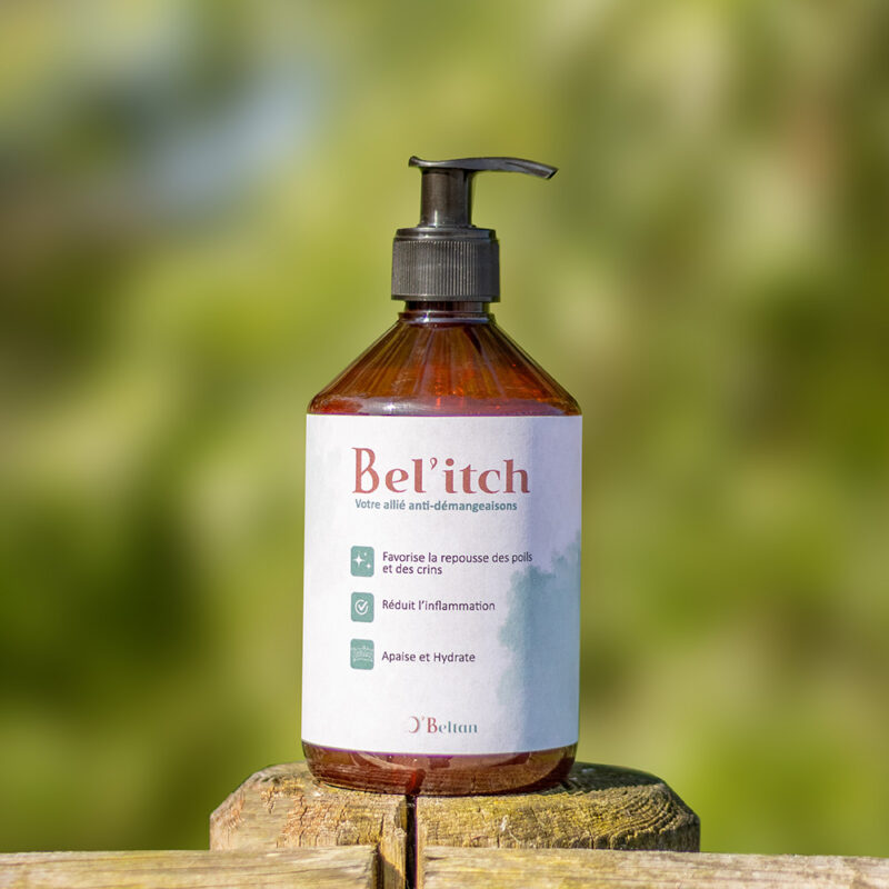 Bel'Itch, produit de soin naturel pour chevaux