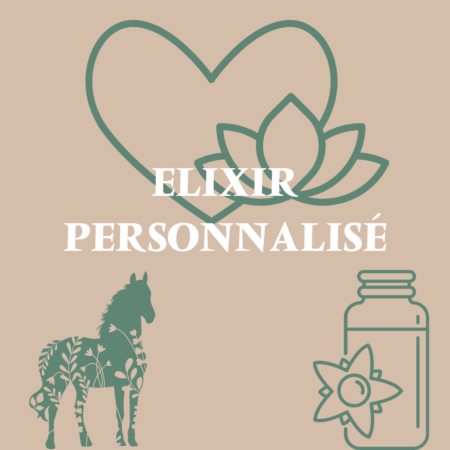 Elixir personnalisé