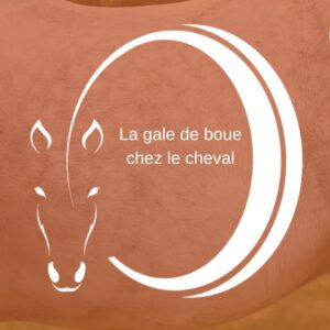 Gale de boue Cheval