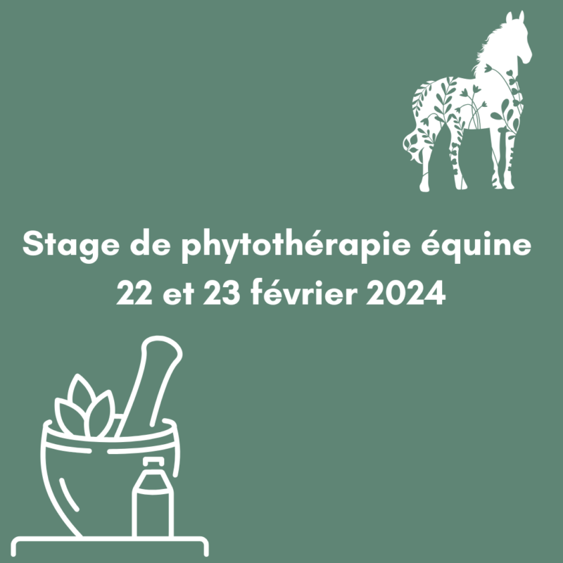 Stage de Phytothérapie équine O'Beltan